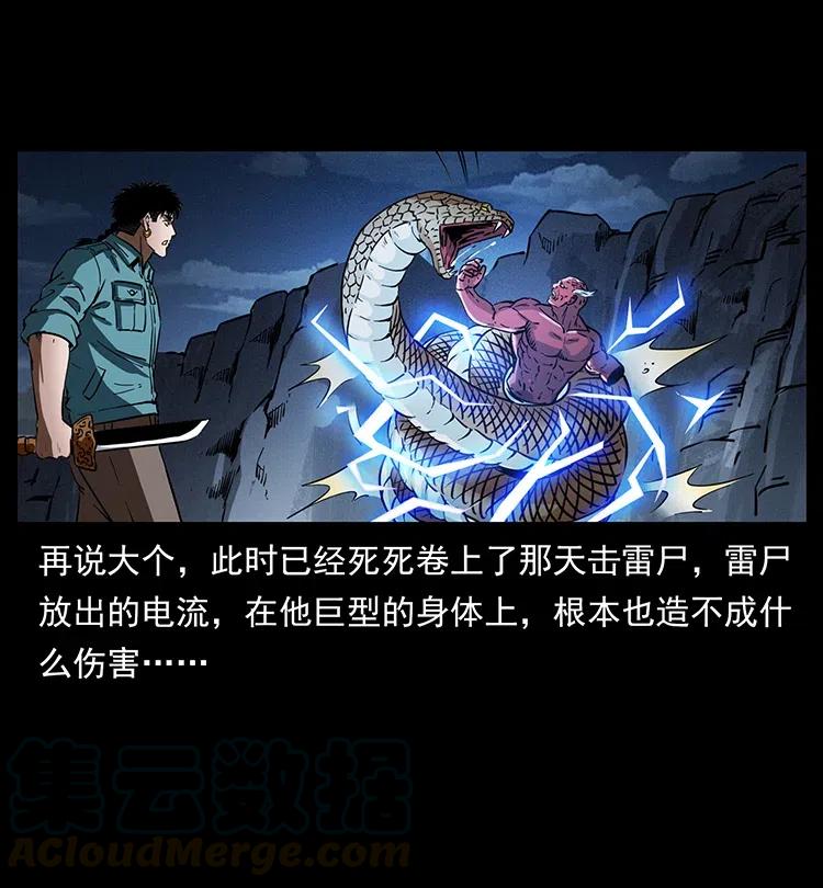 幽冥诡匠 372 天击雷尸 第67页