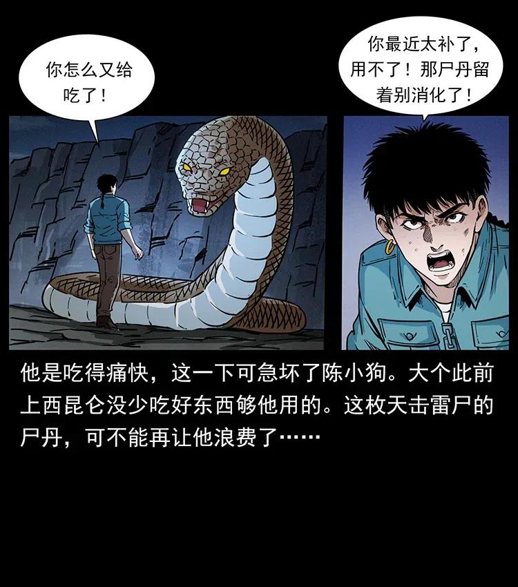 幽冥诡匠 372 天击雷尸 第72页