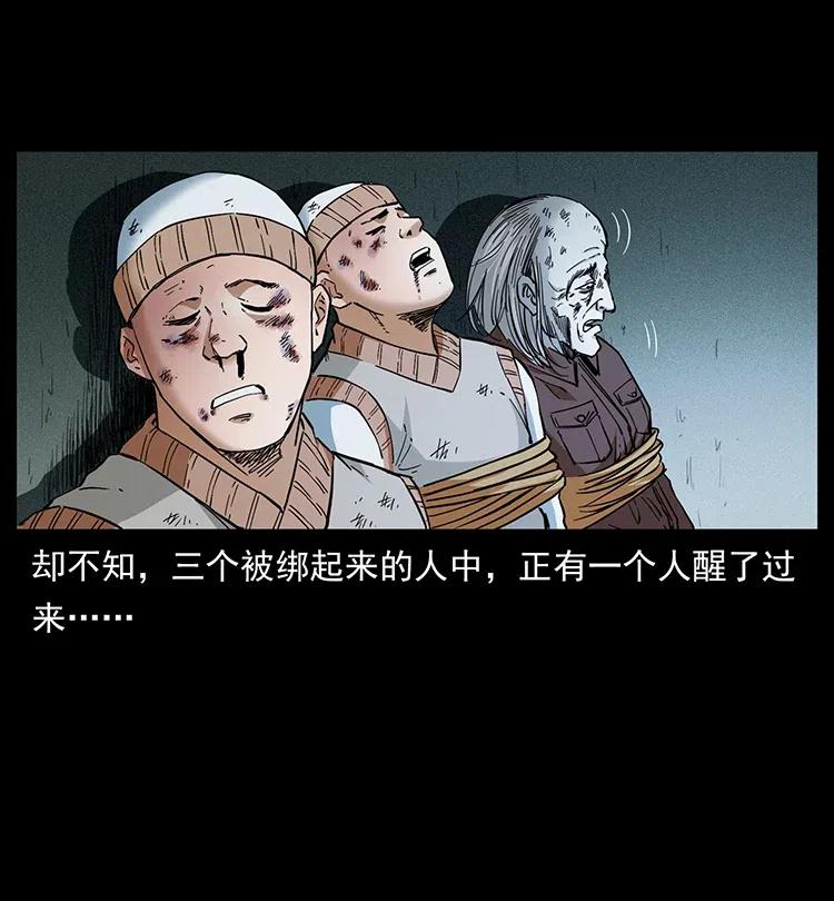 幽冥诡匠 376 暗杀 第69页