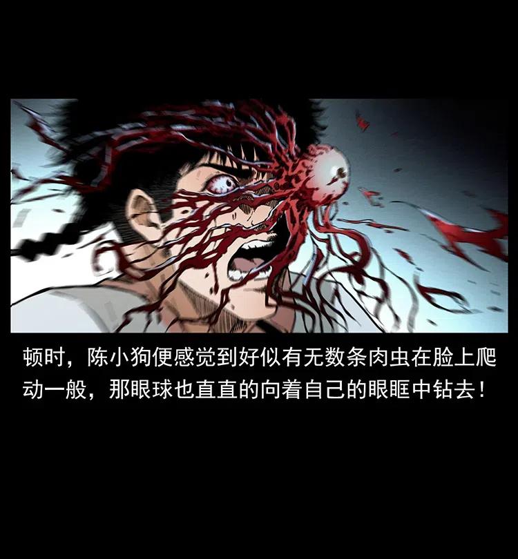 幽冥诡匠 377 尸眼 第80页