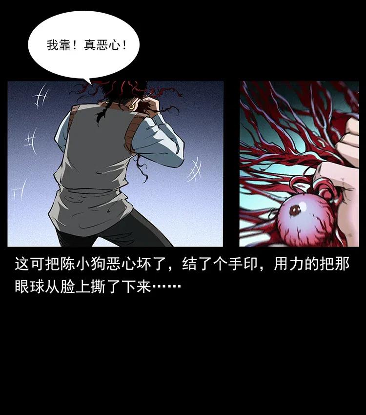 幽冥诡匠 377 尸眼 第81页