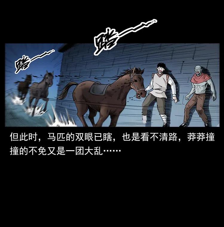 幽冥诡匠 379 皮家三鬼 第29页