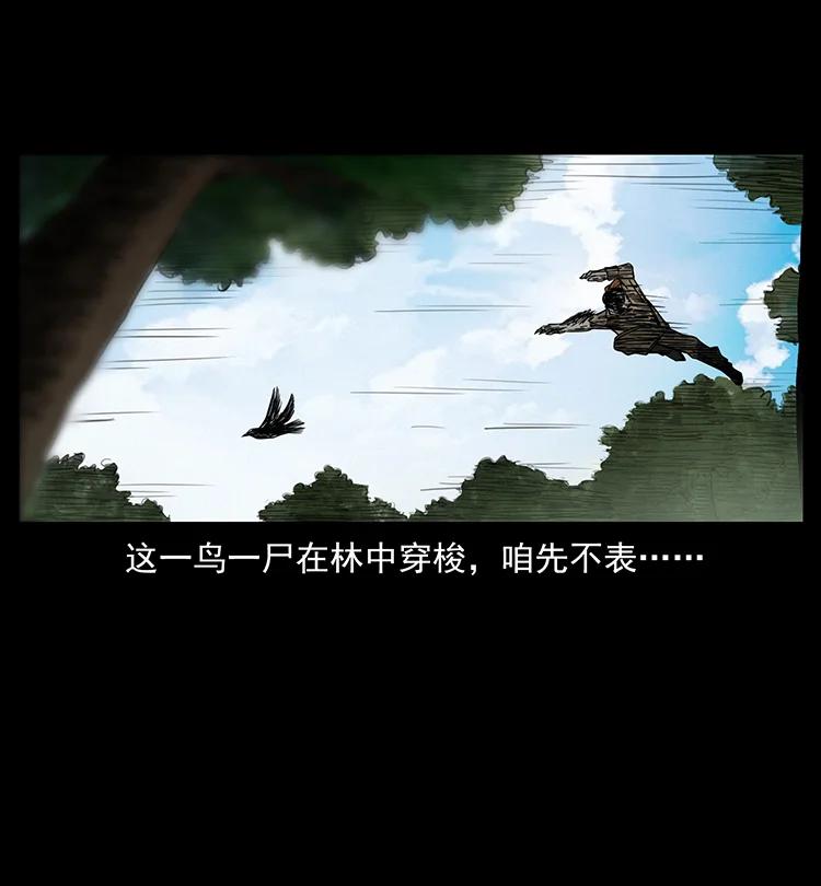 幽冥诡匠 384 路障 第51页