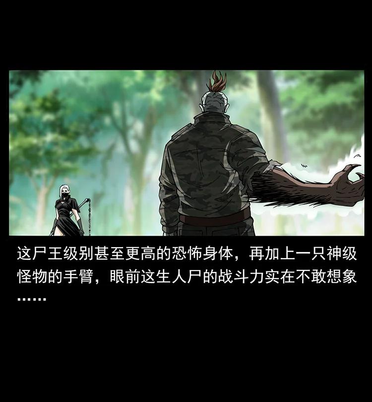 幽冥诡匠 384 路障 第30页
