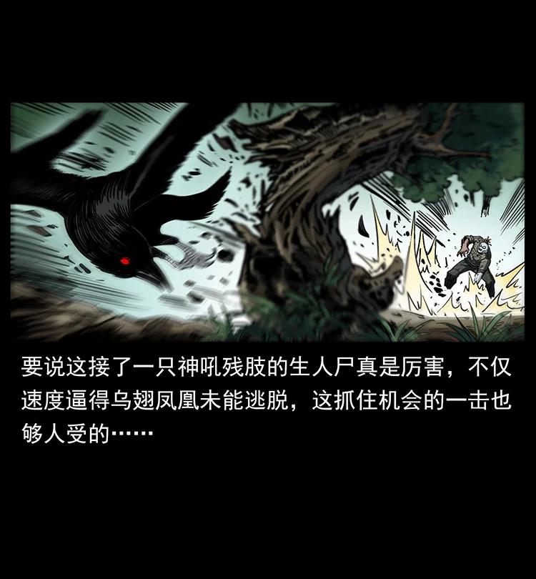 幽冥诡匠 385 险象丛生 第41页