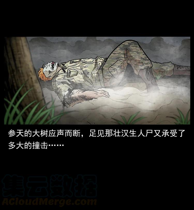 幽冥诡匠 385 险象丛生 第76页
