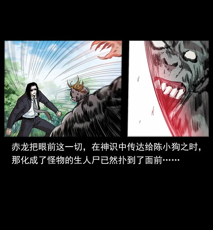 幽冥诡匠 385 险象丛生 第83页