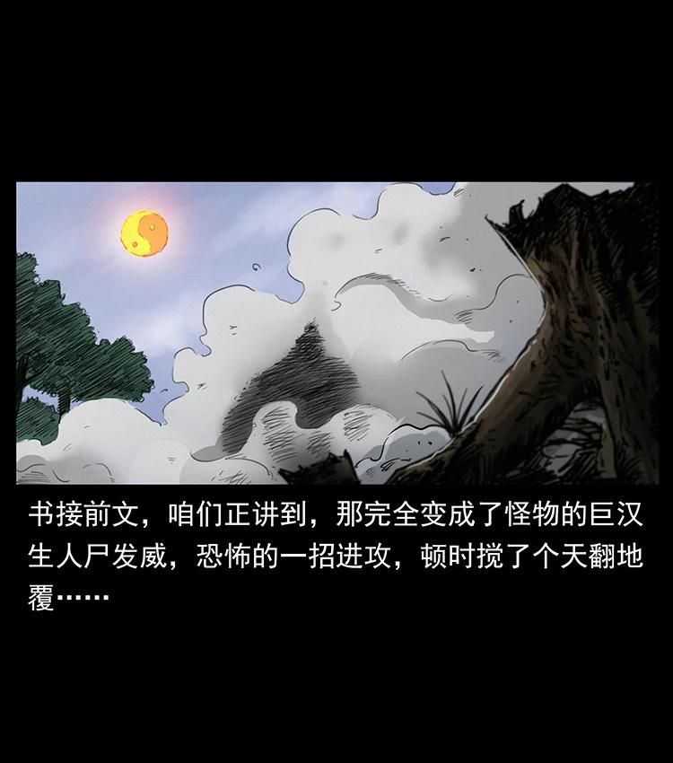 幽冥诡匠 386 本少爷也是仙家 第2页