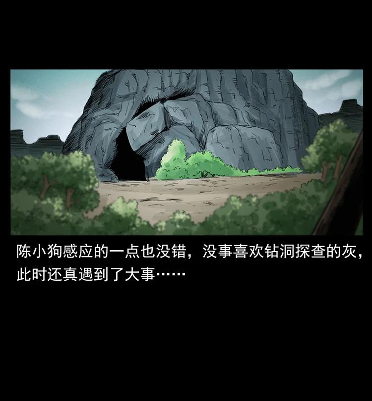 幽冥诡匠 386 本少爷也是仙家 第36页