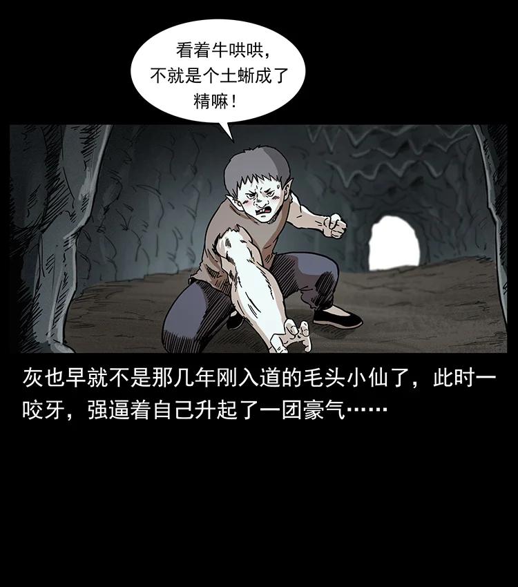 幽冥诡匠 386 本少爷也是仙家 第47页
