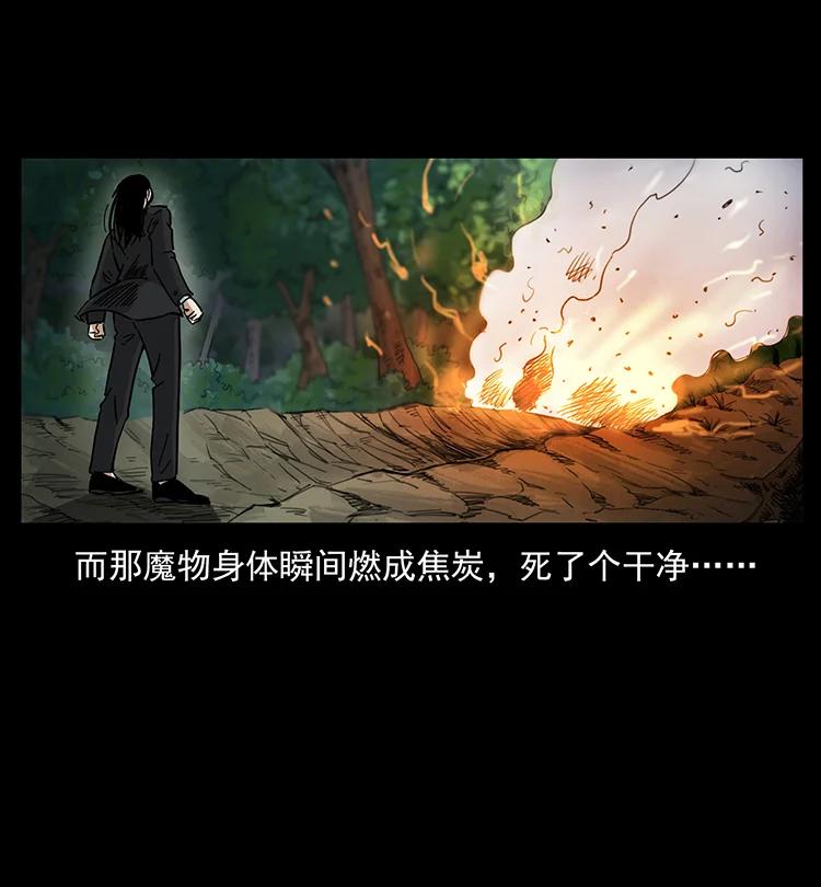 幽冥诡匠 386 本少爷也是仙家 第11页