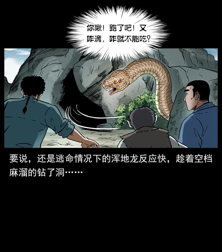 幽冥诡匠 387 老大出手，天崩地裂！ 第12页