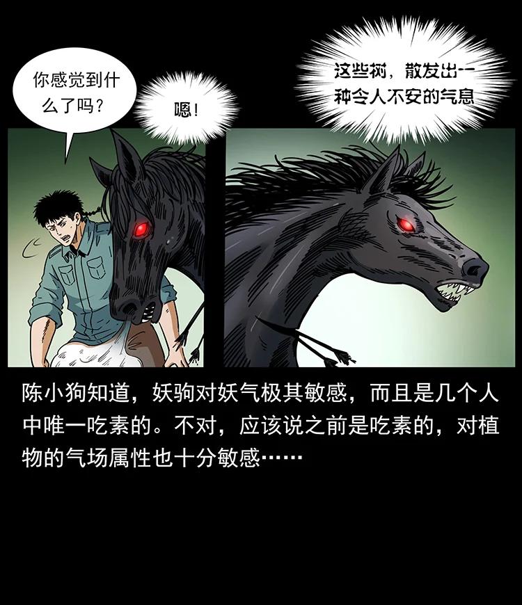 幽冥诡匠 389 迷障 第65页