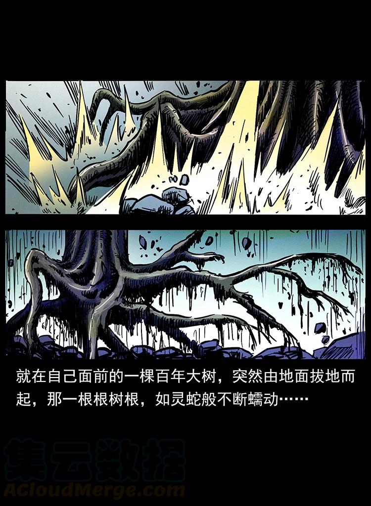 幽冥诡匠 389 迷障 第46页