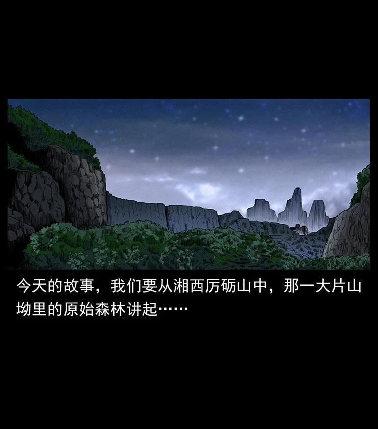 幽冥诡匠 389 迷障 第2页