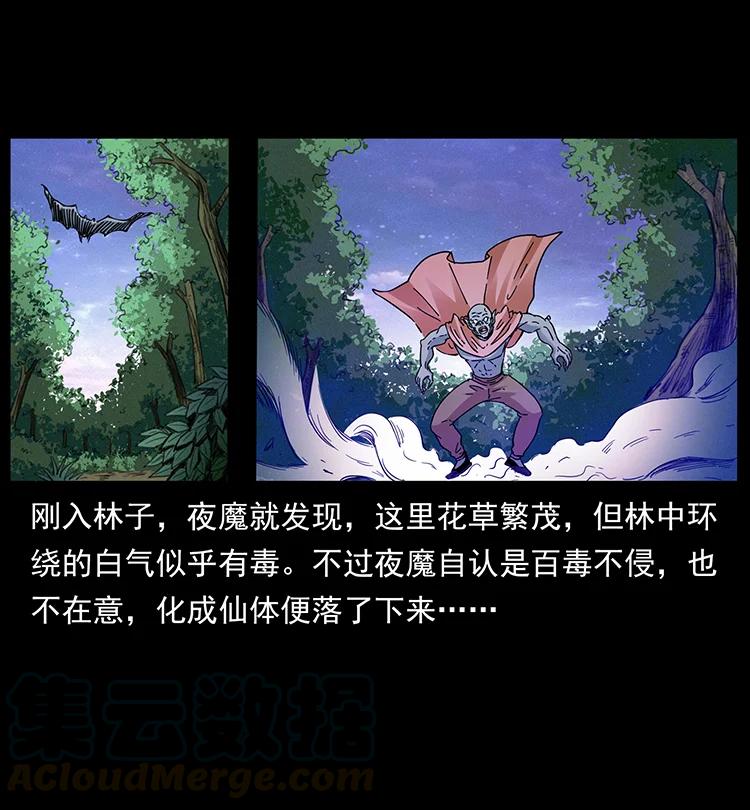 幽冥诡匠 389 迷障 第43页