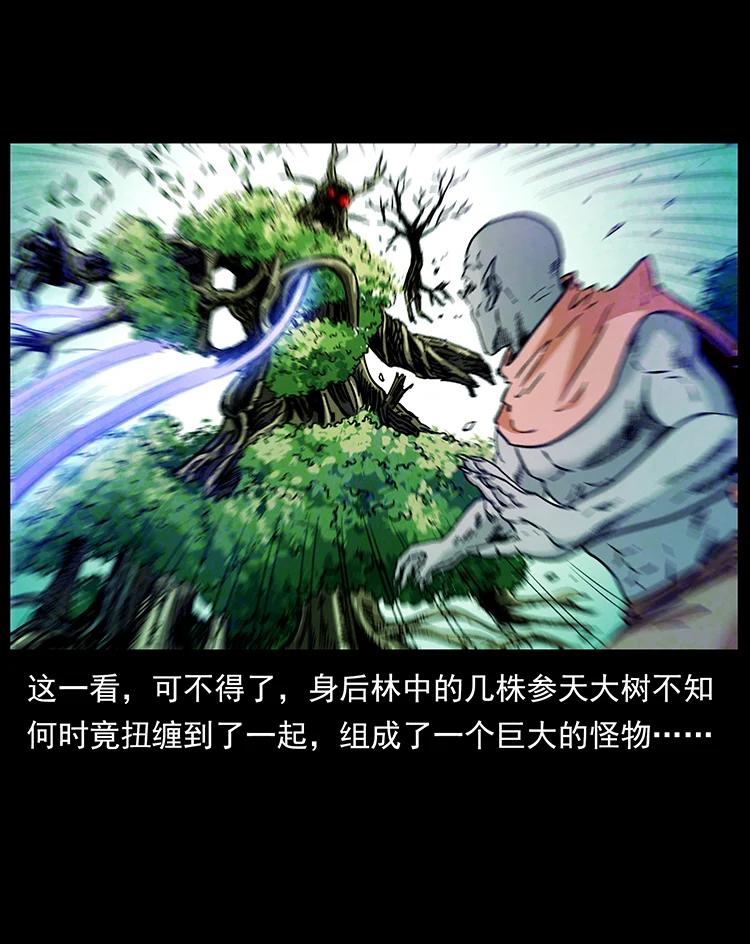 幽冥诡匠 389 迷障 第48页