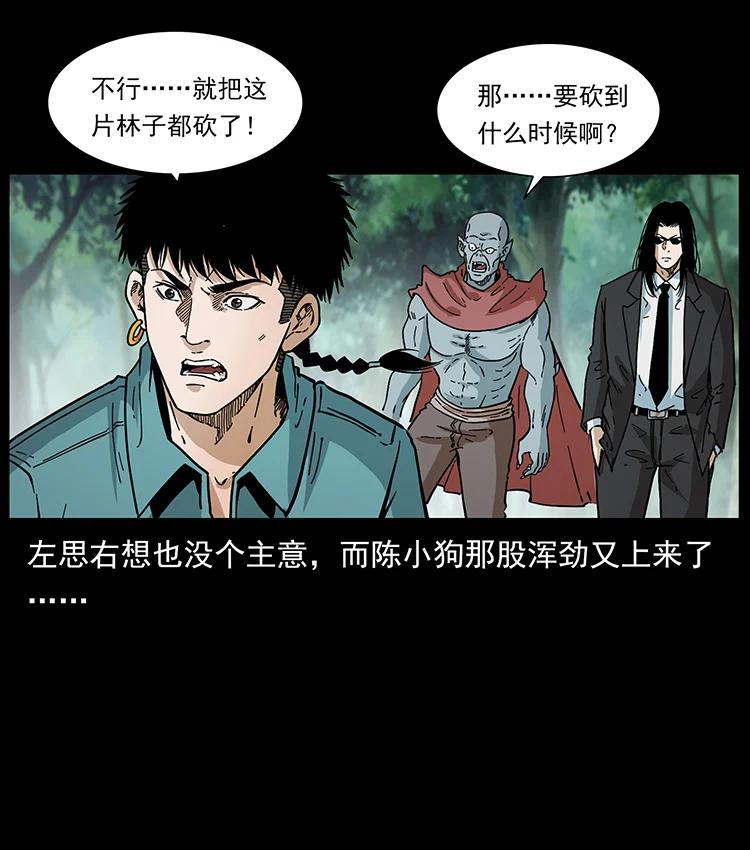 幽冥诡匠 389 迷障 第71页