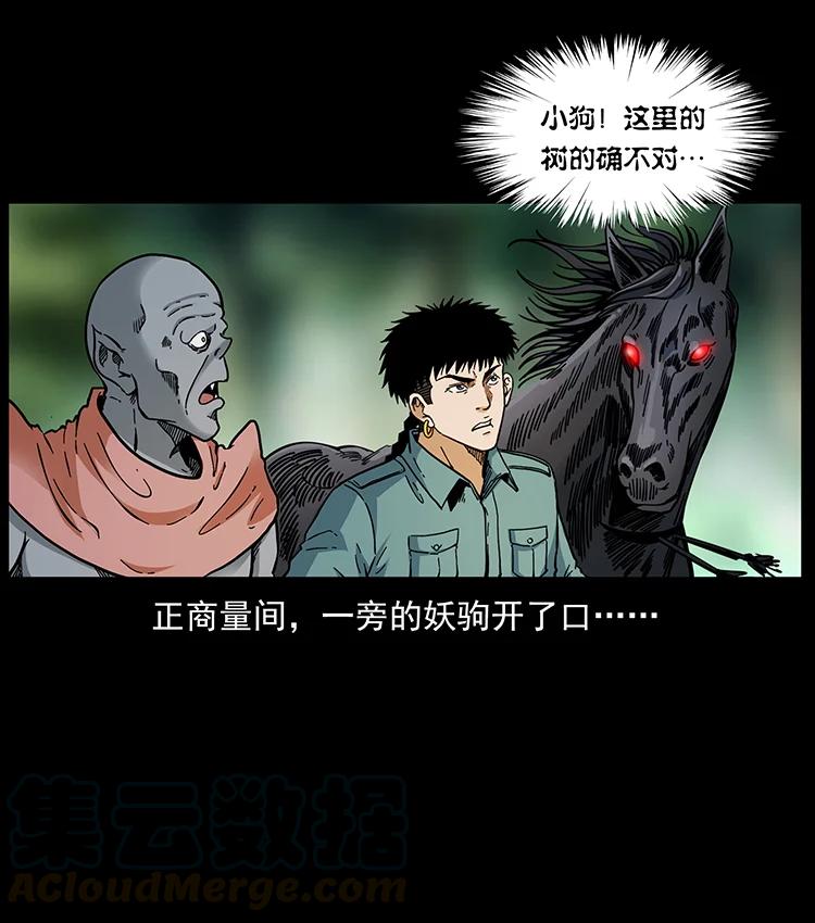 幽冥诡匠 389 迷障 第64页