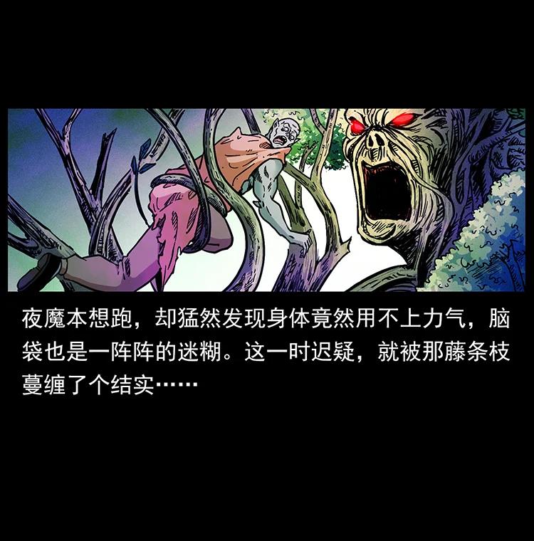 幽冥诡匠 389 迷障 第51页
