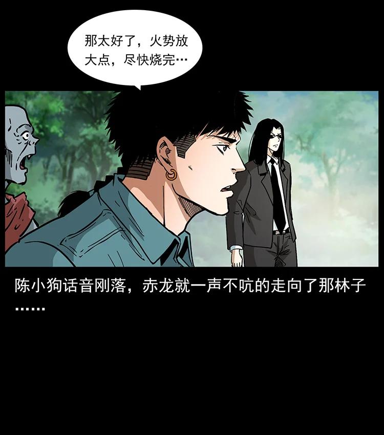 幽冥诡匠 389 迷障 第78页
