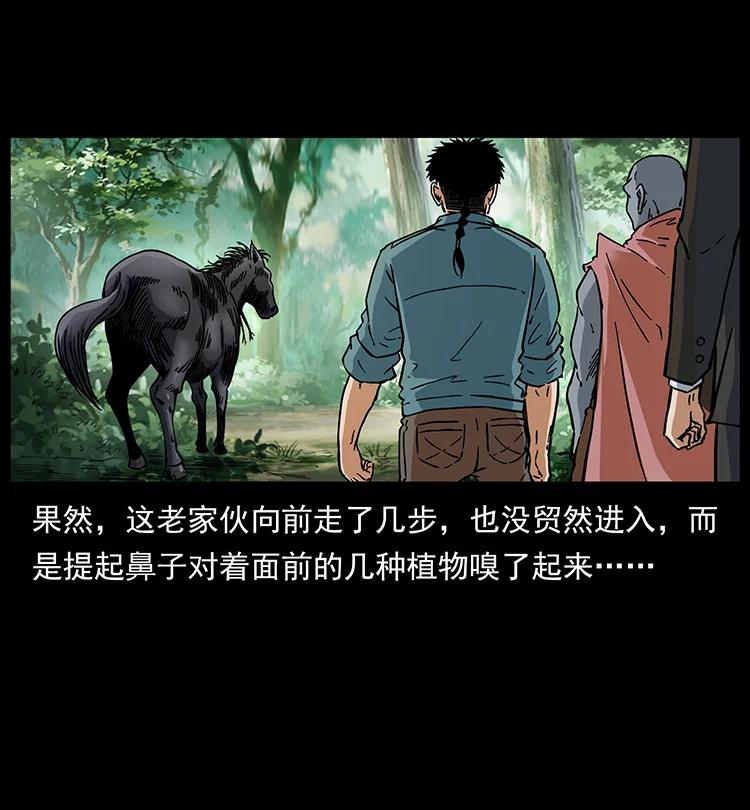 幽冥诡匠 389 迷障 第66页