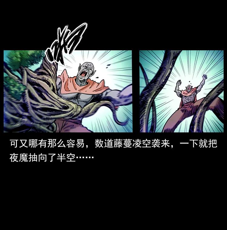 幽冥诡匠 389 迷障 第53页