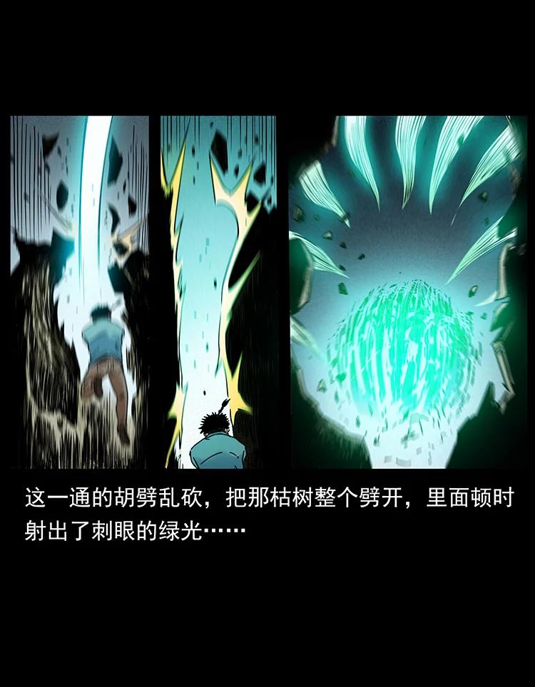 幽冥诡匠 390 斩草除根 第75页