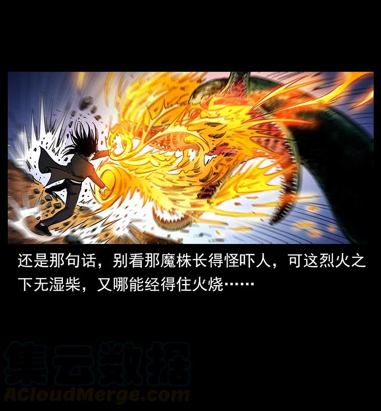 幽冥诡匠 390 斩草除根 第49页