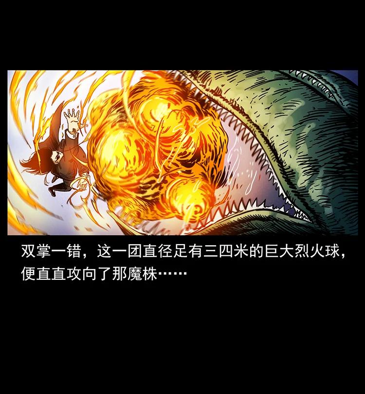 幽冥诡匠 390 斩草除根 第48页