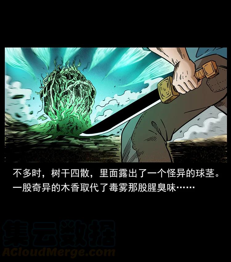 幽冥诡匠 390 斩草除根 第76页