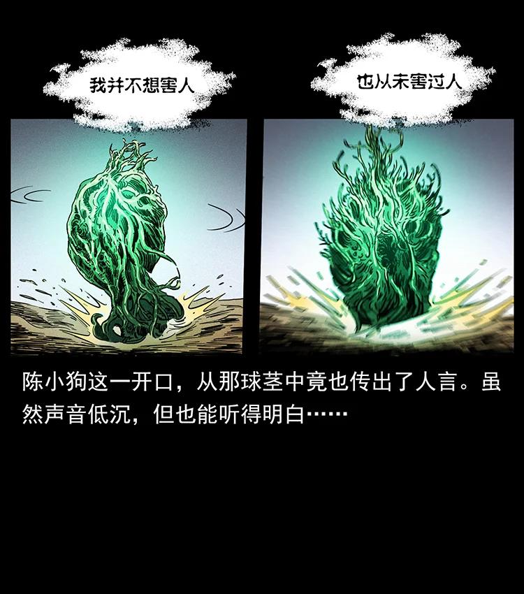 幽冥诡匠 390 斩草除根 第78页