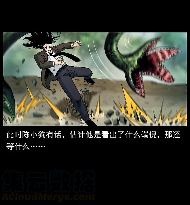 幽冥诡匠 390 斩草除根 第46页