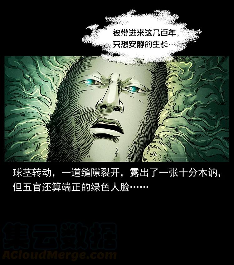 幽冥诡匠 390 斩草除根 第79页