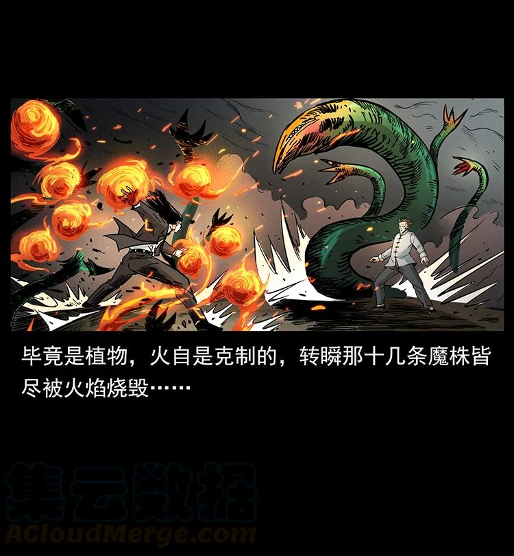 幽冥诡匠 390 斩草除根 第31页