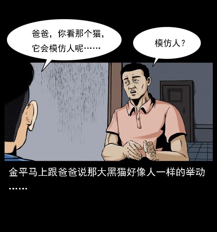 幽冥诡匠 003 赵家的猫 第47页