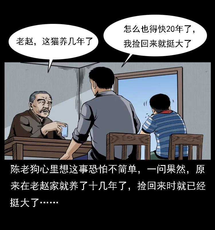 幽冥诡匠 003 赵家的猫 第50页