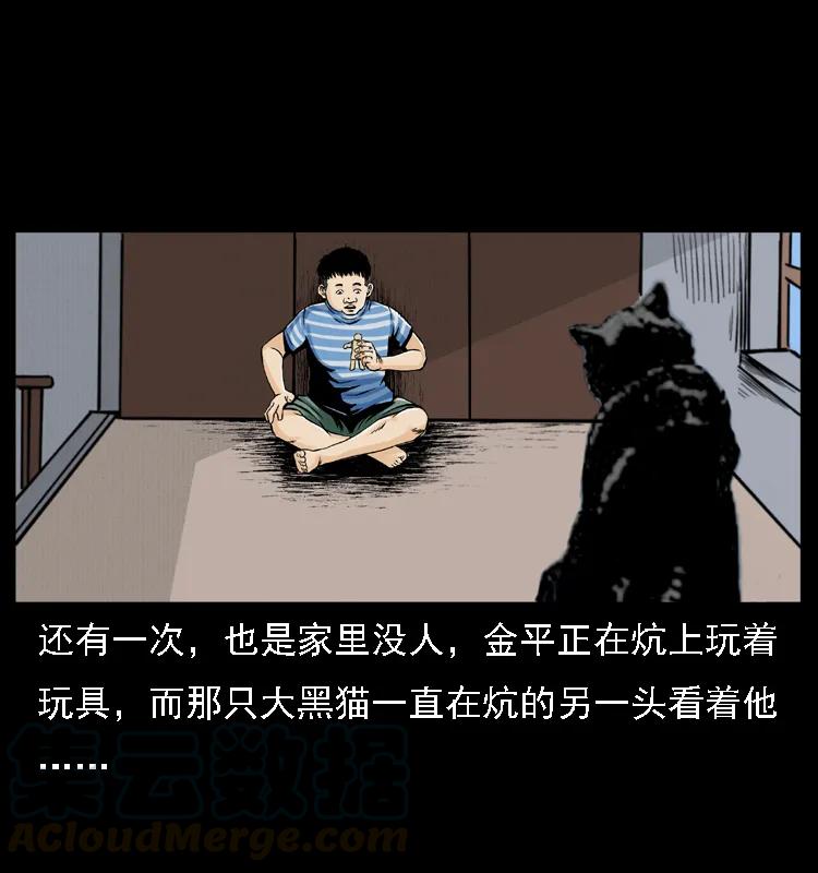幽冥诡匠 003 赵家的猫 第41页