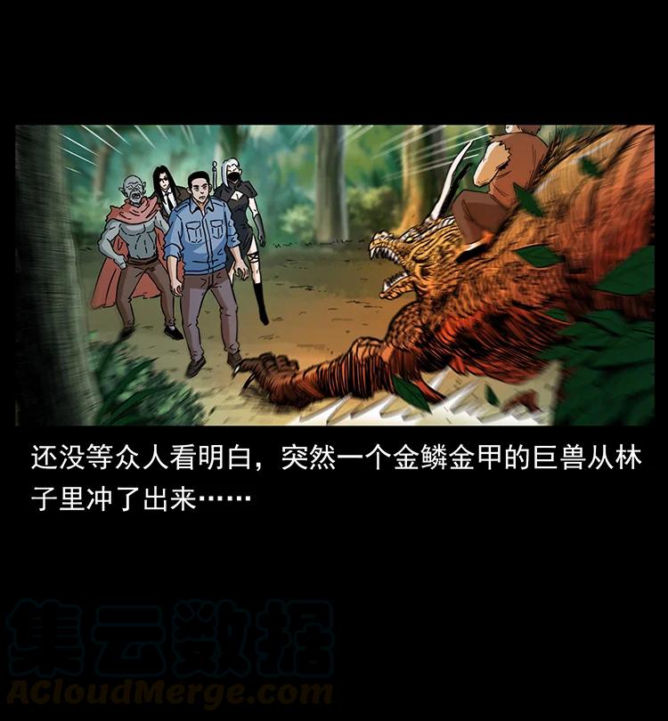 幽冥诡匠 391 散仙 第16页