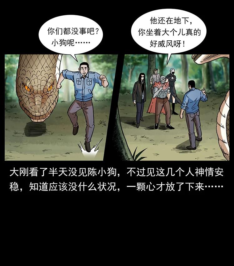 幽冥诡匠 391 散仙 第12页