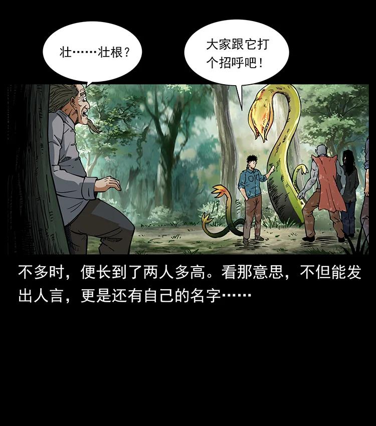 幽冥诡匠 391 散仙 第30页