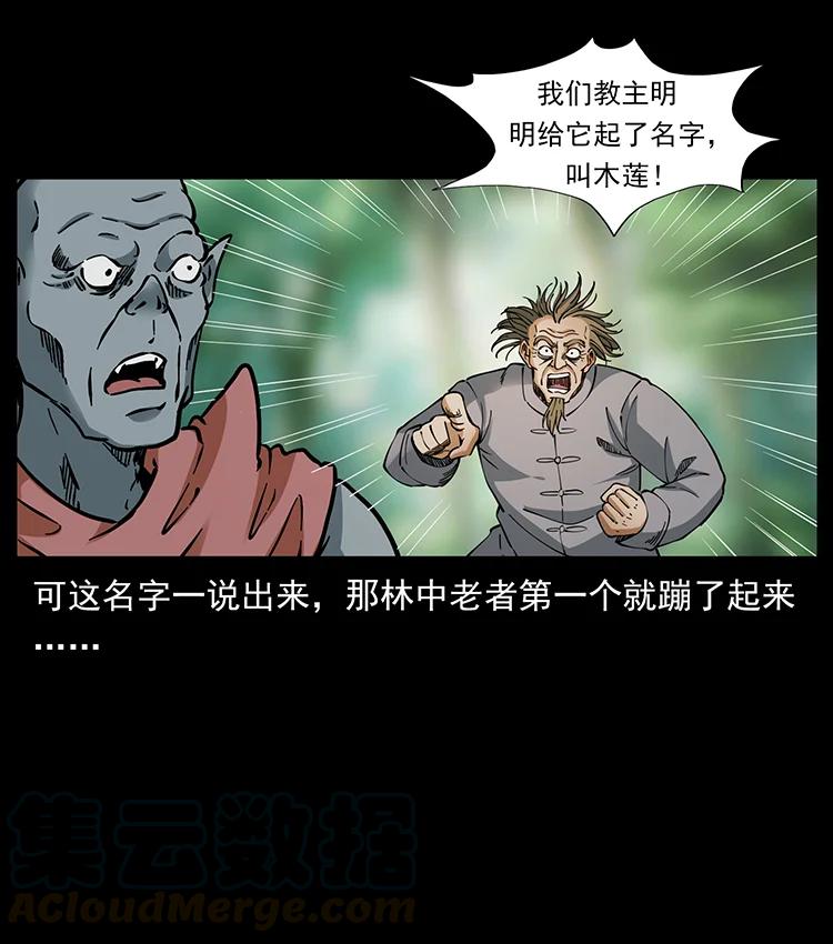幽冥诡匠 391 散仙 第31页