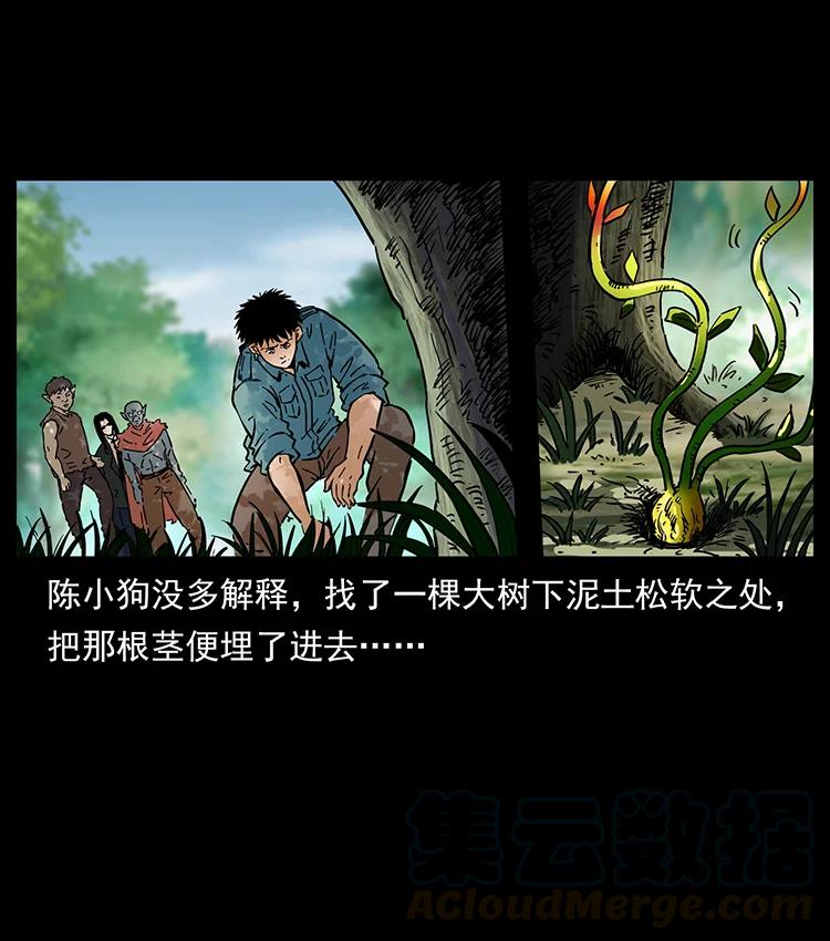 幽冥诡匠 391 散仙 第28页