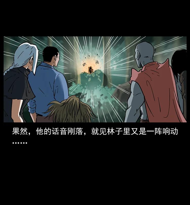 幽冥诡匠 391 散仙 第15页