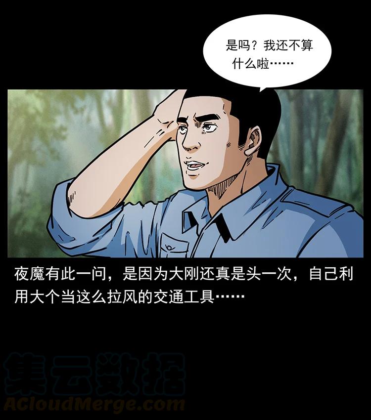 幽冥诡匠 391 散仙 第13页
