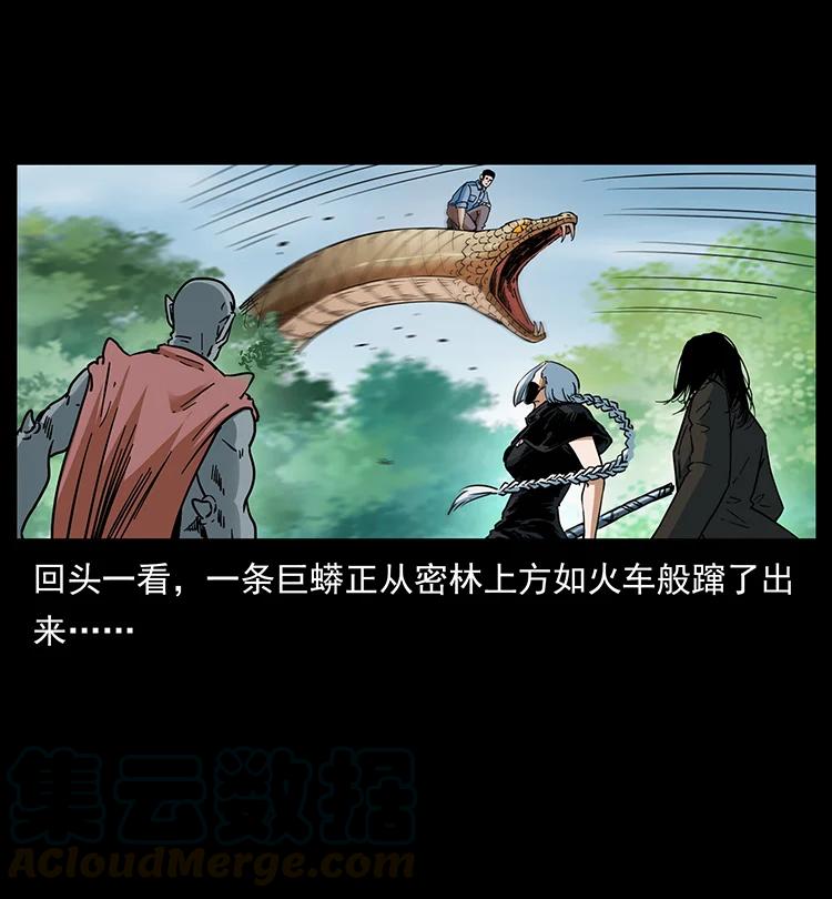 幽冥诡匠 391 散仙 第10页