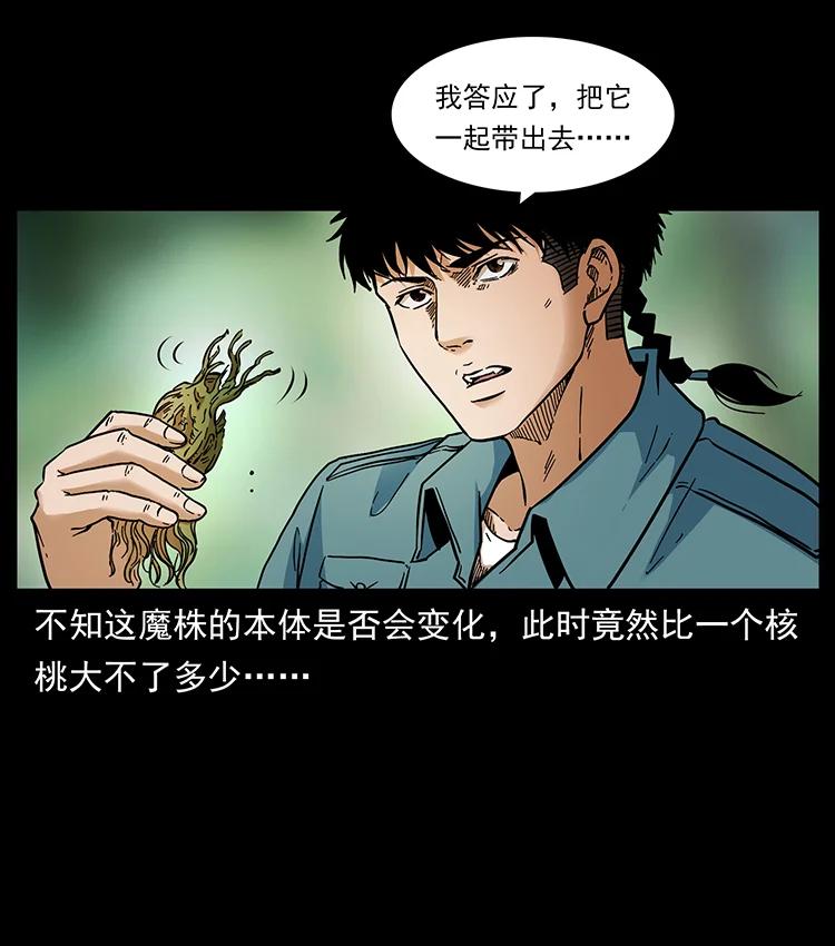 幽冥诡匠 391 散仙 第27页