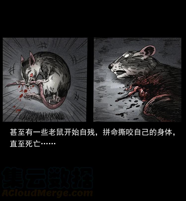 幽冥诡匠 394 殇 第49页