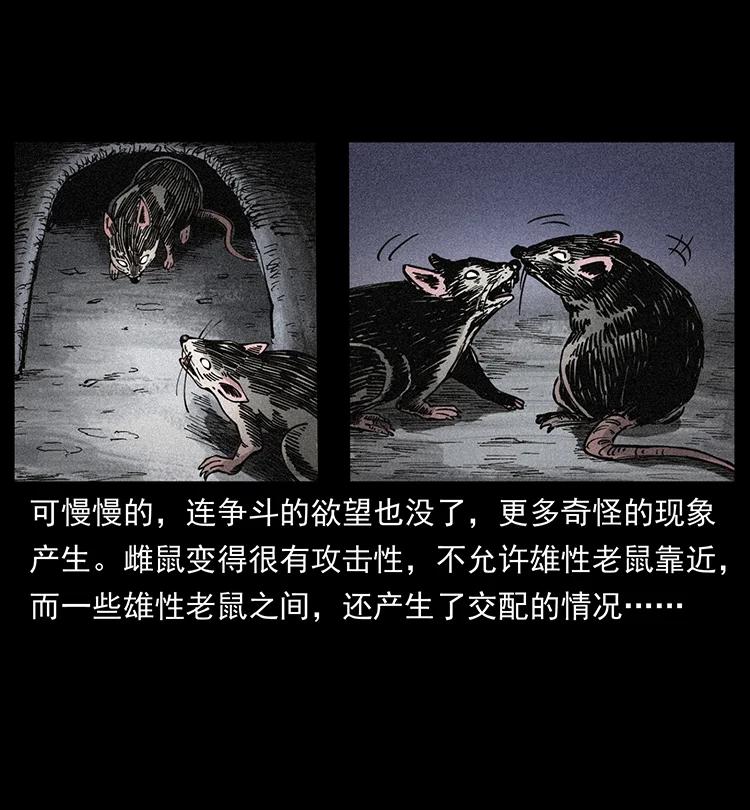 幽冥诡匠 394 殇 第47页