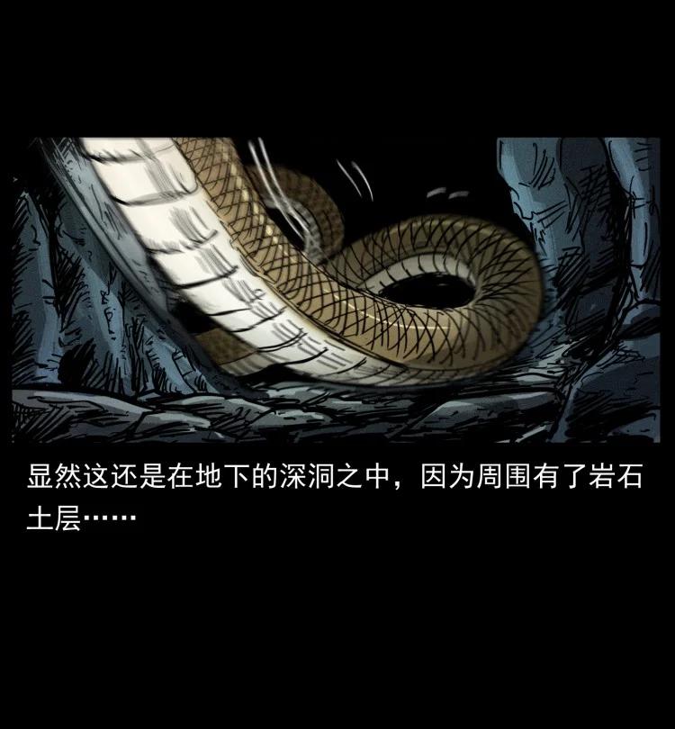 幽冥诡匠 397 神王之怒 第60页